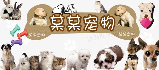TokenPocket钱包安卓版